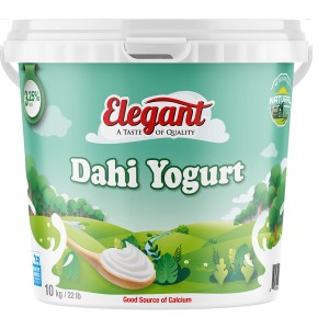 Milk Dahi Yogurt